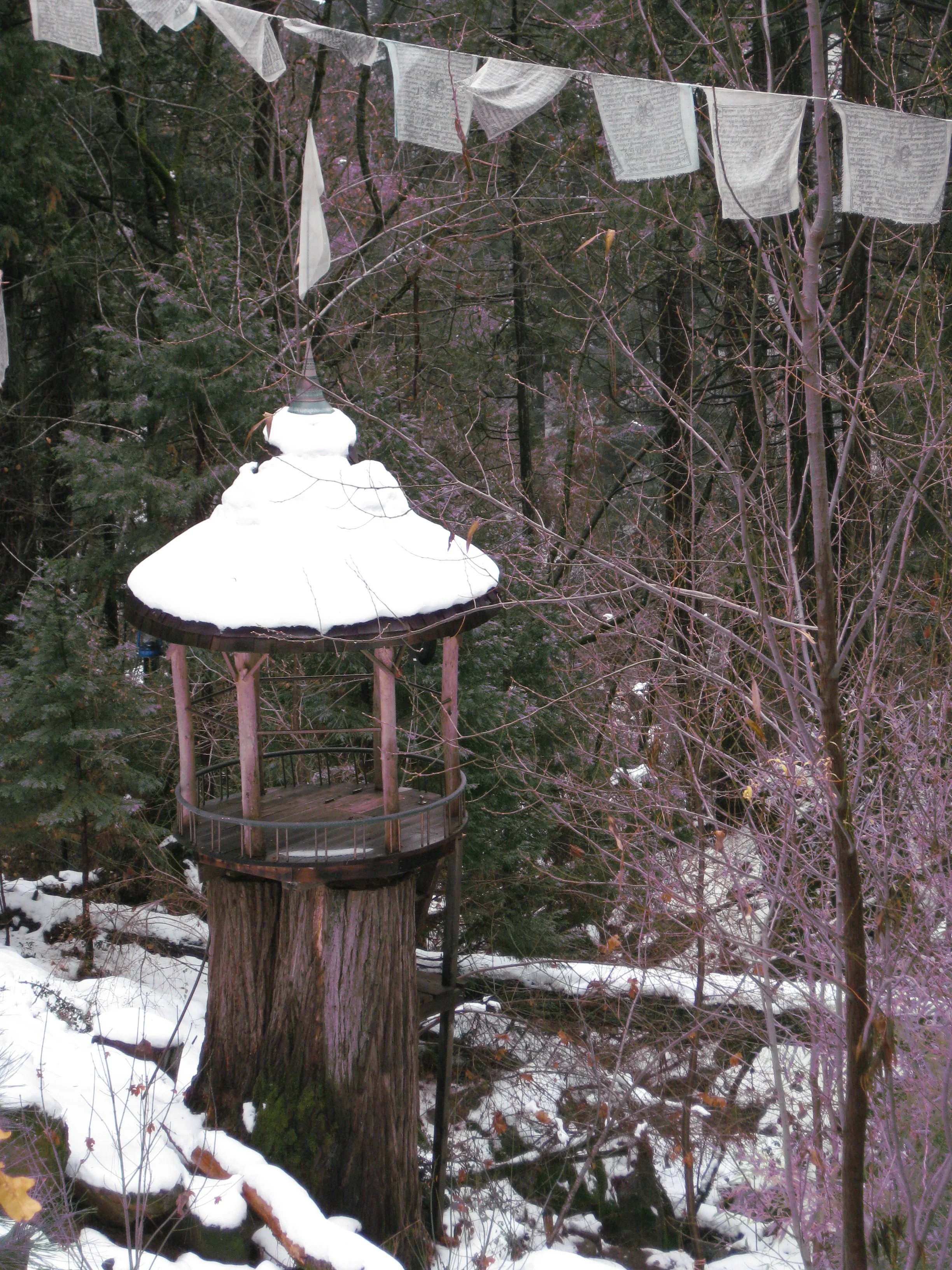 OFFICE, OLD DOWNIEVILLE HWY