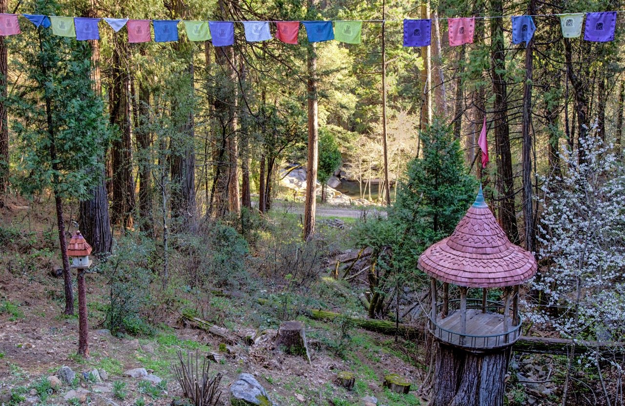 View from deck to swimming hole
