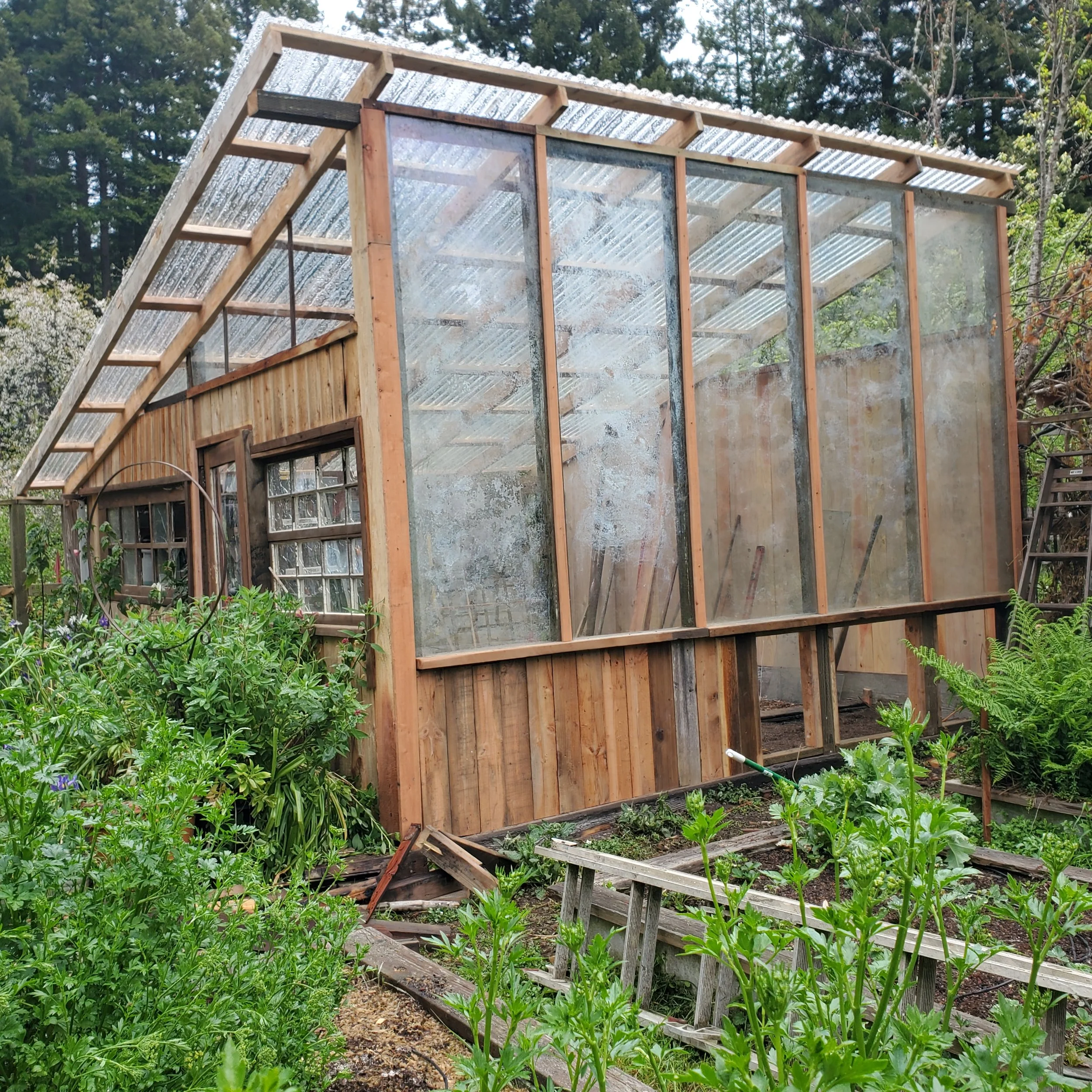 GREENHOUSE (fRESSWATER)