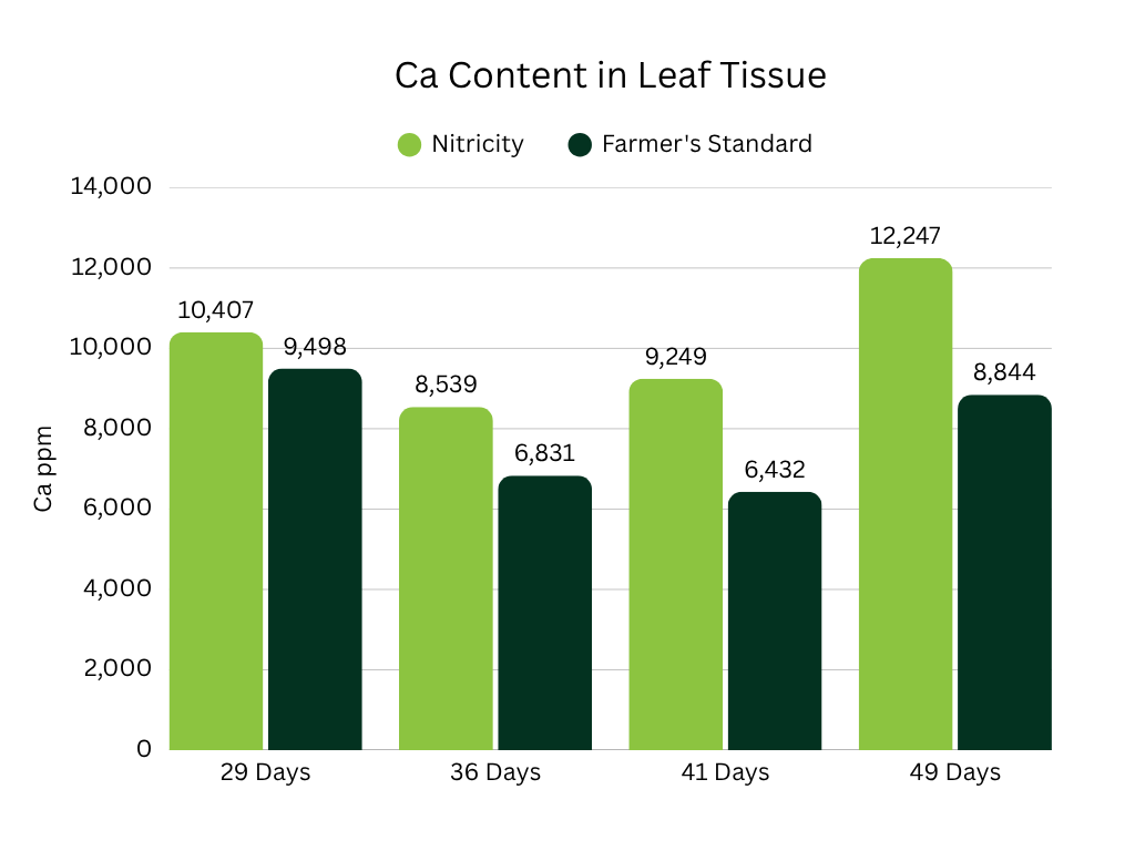 Fig 2: Leaf calcium concentration: Higher Ca levels observed in Nitricity-treated plants throughout the season.