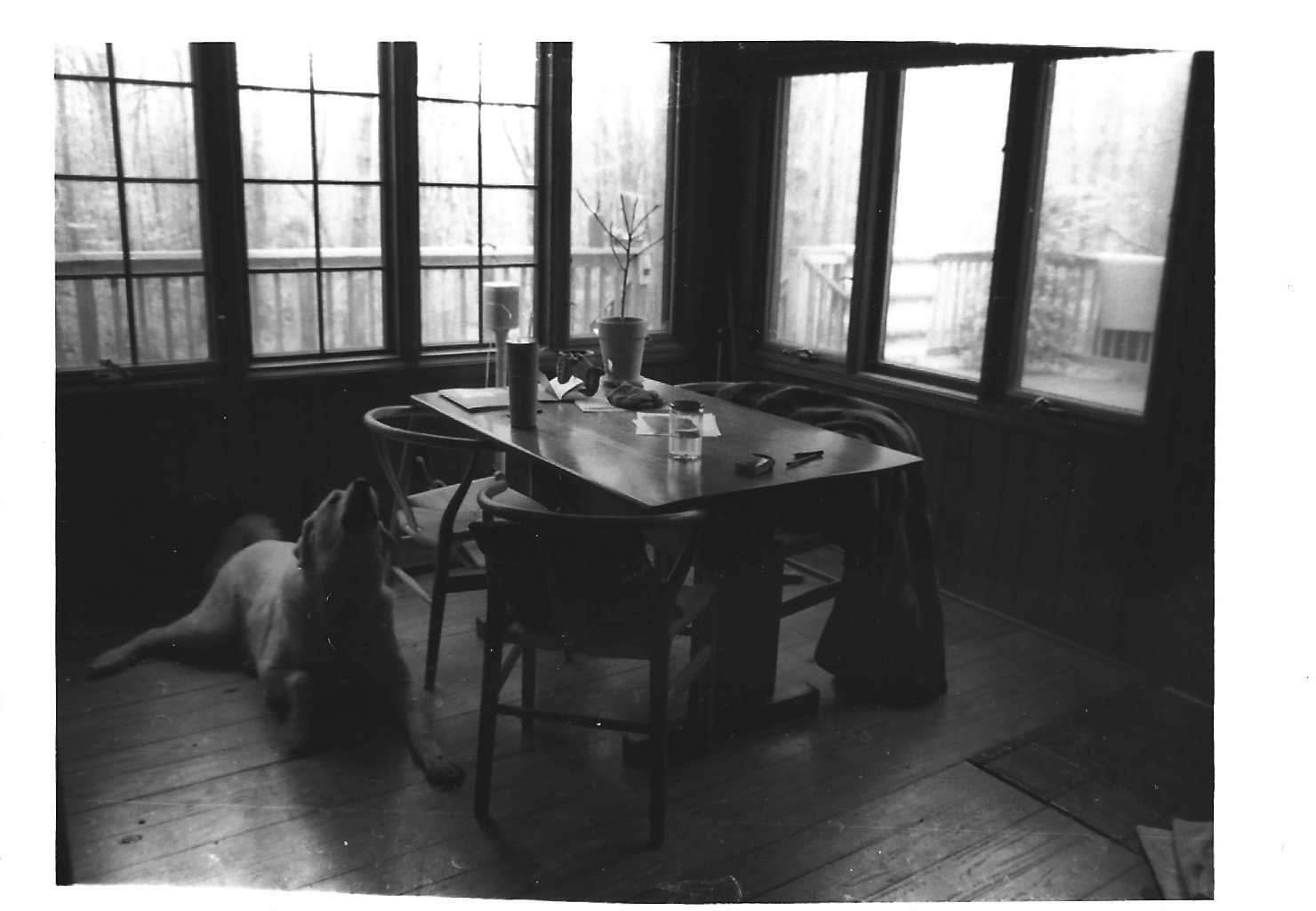 02182025_35mm_b&w 12 copy.jpeg