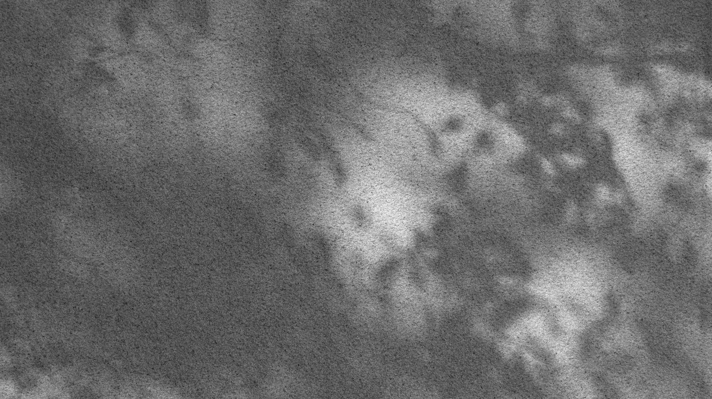 static plants shadow.png