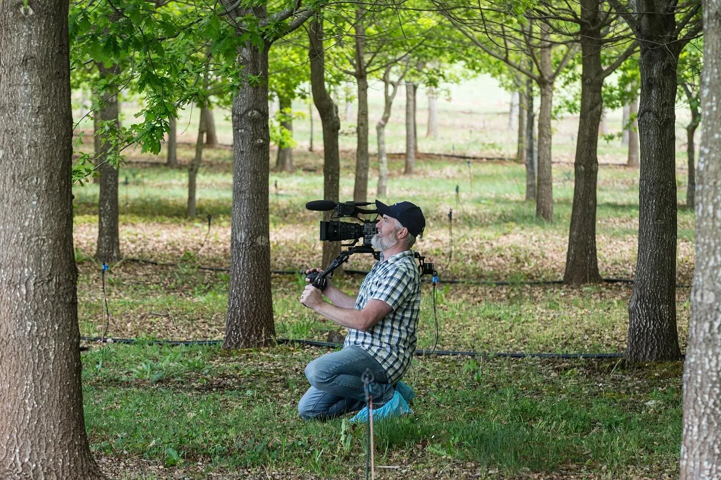 Can you guess what type of orchard this is??

Soaking up some of this amazing Tasmanian spring weather while on location shooting for @betasmania 

Here&rsquo;s a clue 🐶

#video #videoproduction #videoproducer #speakhuman #photography #tasmania