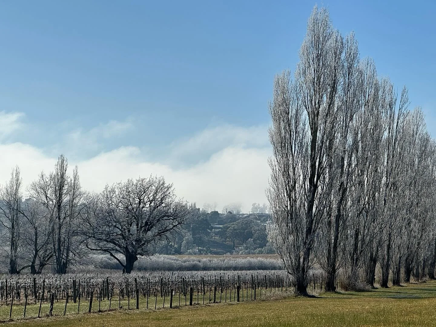 Tassie winter appreciation post ❄️💙❄️

It&rsquo;s been an icy few weeks in the island state and aside from the biting cold and treacherous driving conditions it&rsquo;s also been mind blowingly beautiful 🙌🏼 

One of our fave motto&rsquo;s is that 