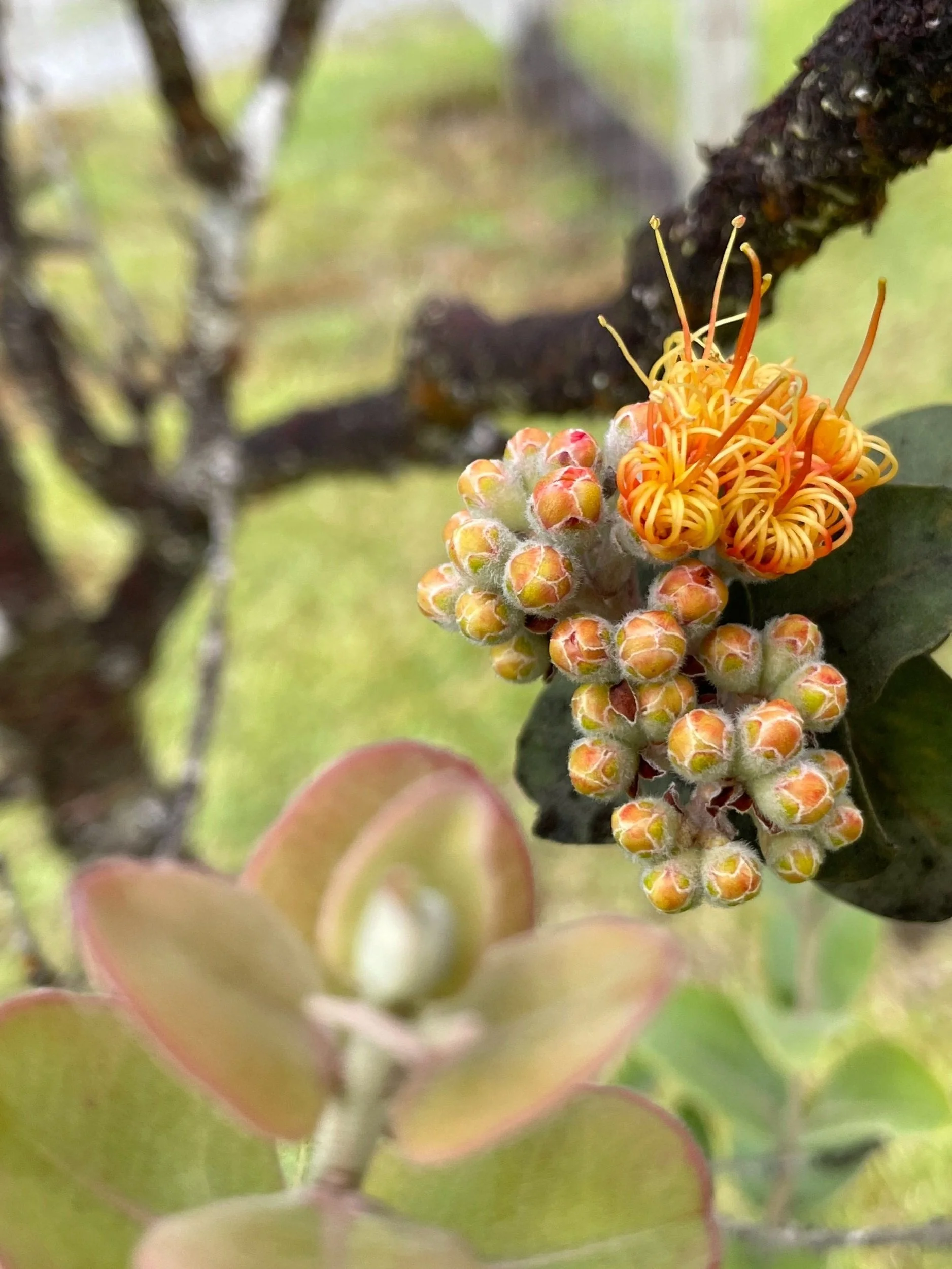 What have you been up to since retirement?