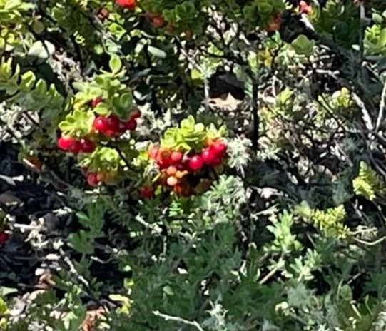 Blog Post Title Three