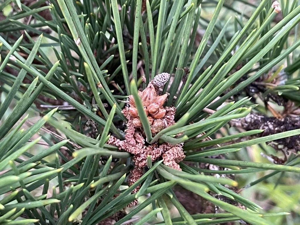 Blog Post Title Four