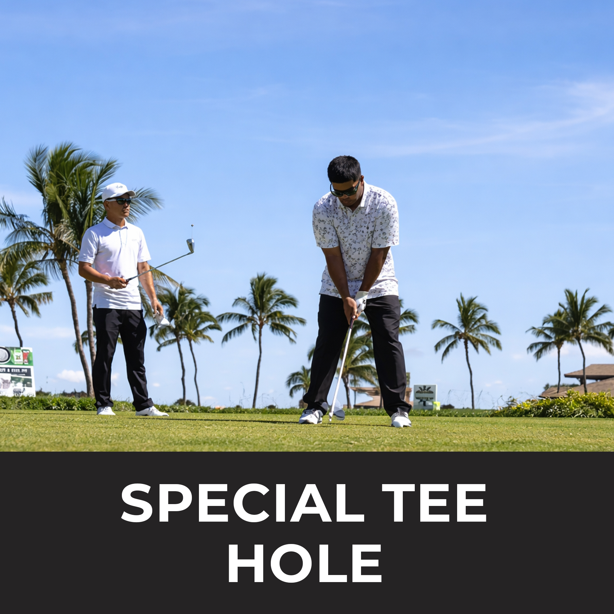 thumb-special tee hole.png