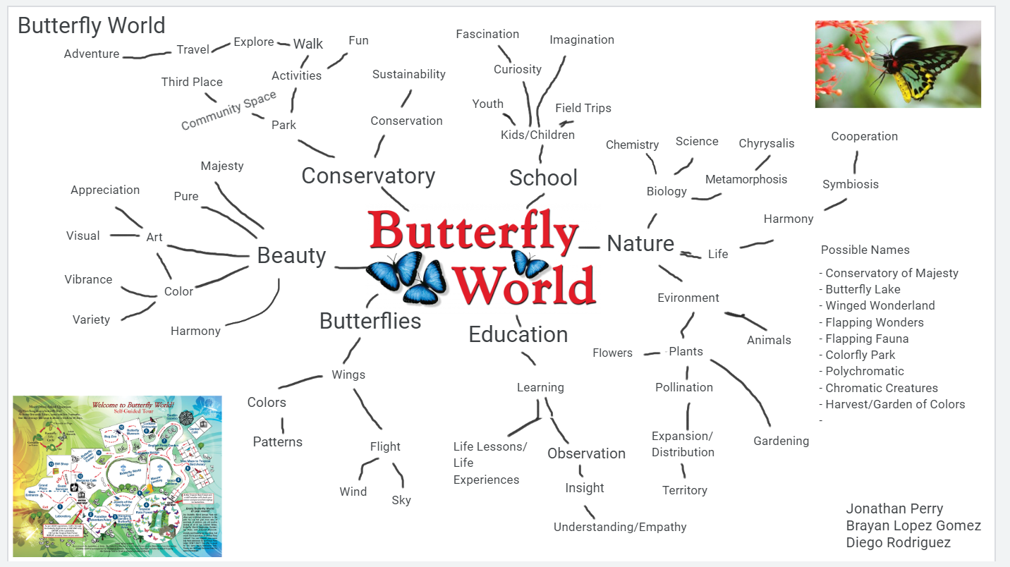 ButterFlyWorld-MindMapping.png