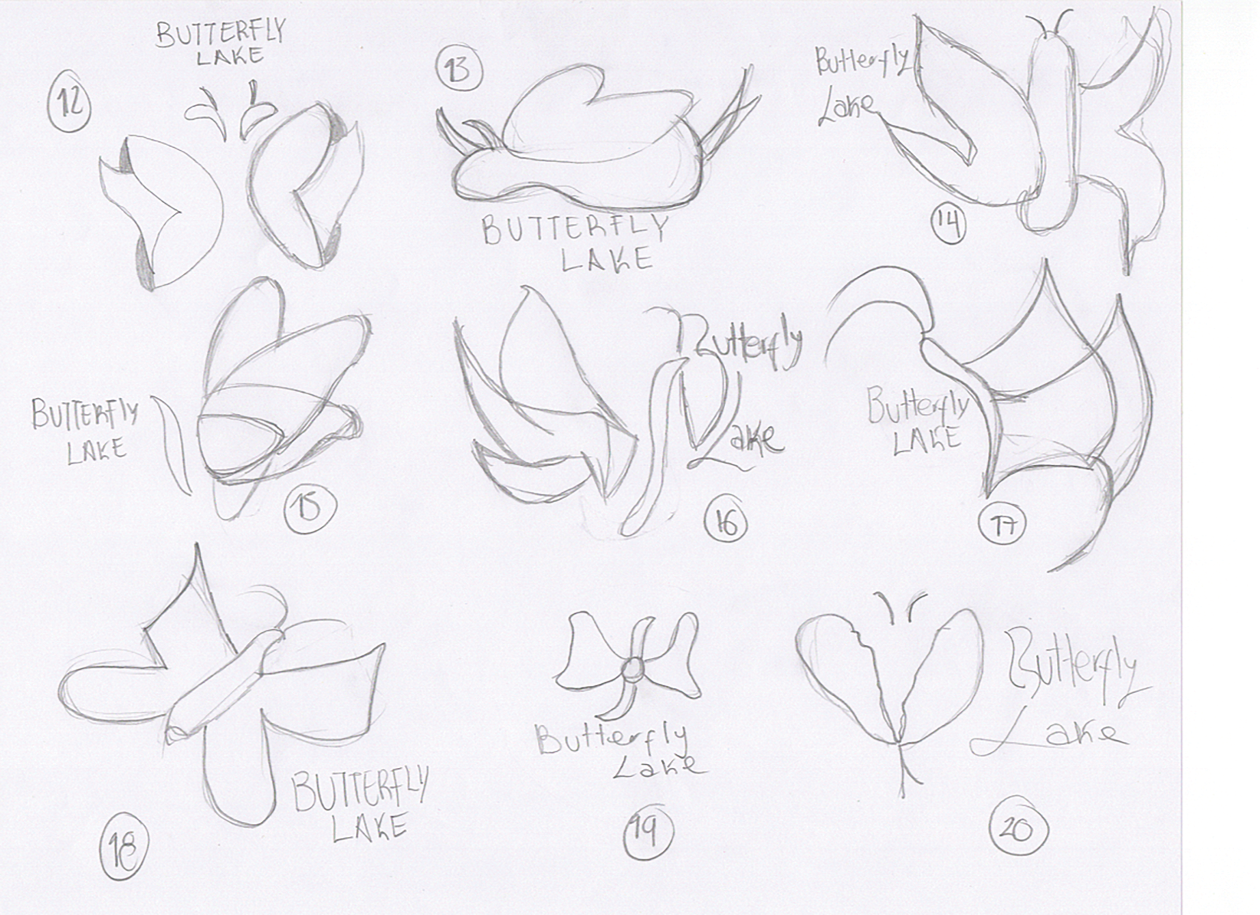 ButterflyLake-Sketch2.png
