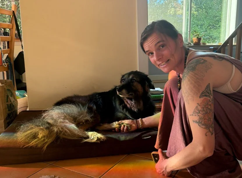 Oh my goodness this good girl 🥰 She truly lives up to her name Lovie Bear and I always tell her if she weren&rsquo;t my dog and we met I&rsquo;d wish so hard she was my dog and she is. Lucky us. She&rsquo;s steadfast and a great snuggler, her bark i