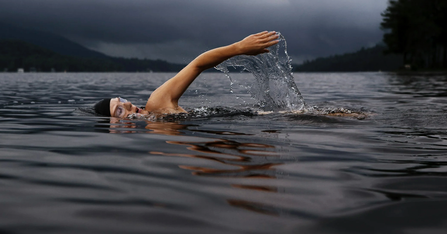 Adaptogens: Building Resilience, Not Just Burning Up Your Fuel