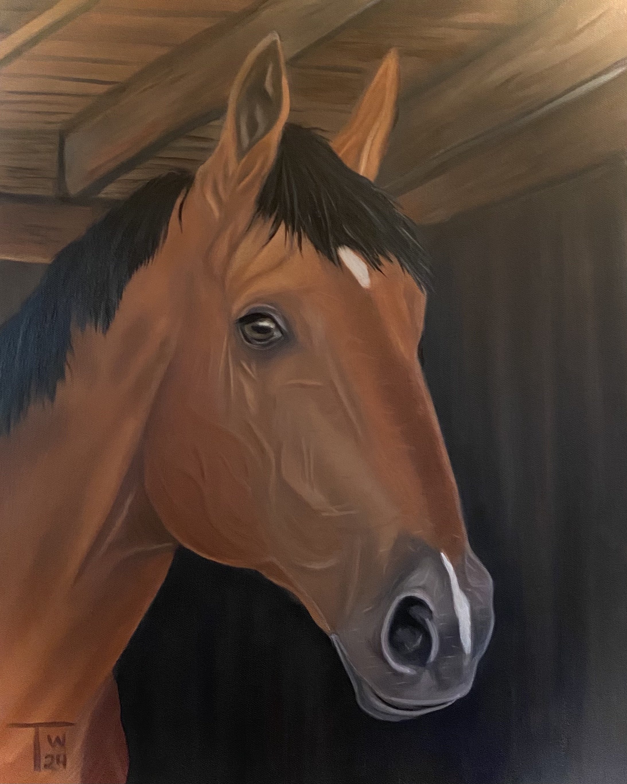 11 x 14 Pet Portrait Oil Painting