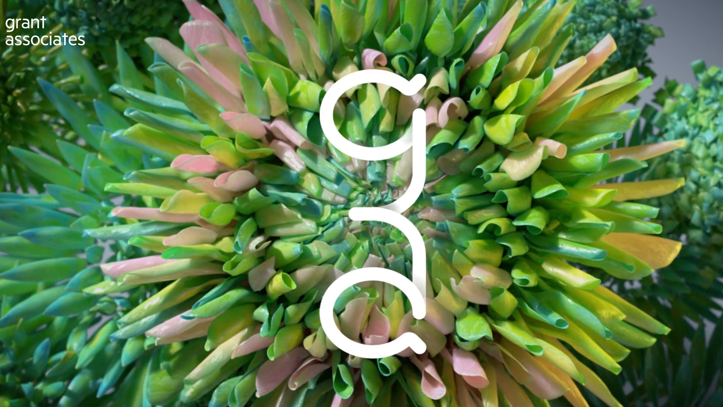 Grant Associates
