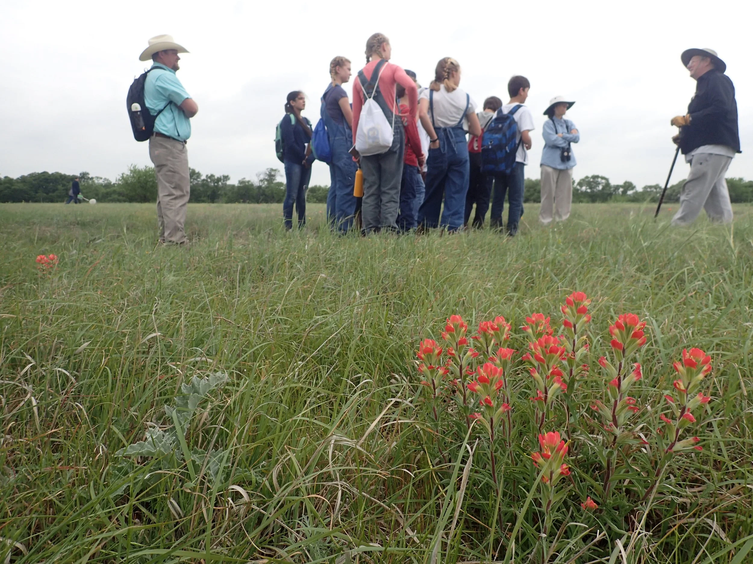 READING THE LAND TO OPTIMIZE GRAZING - Decatur TX