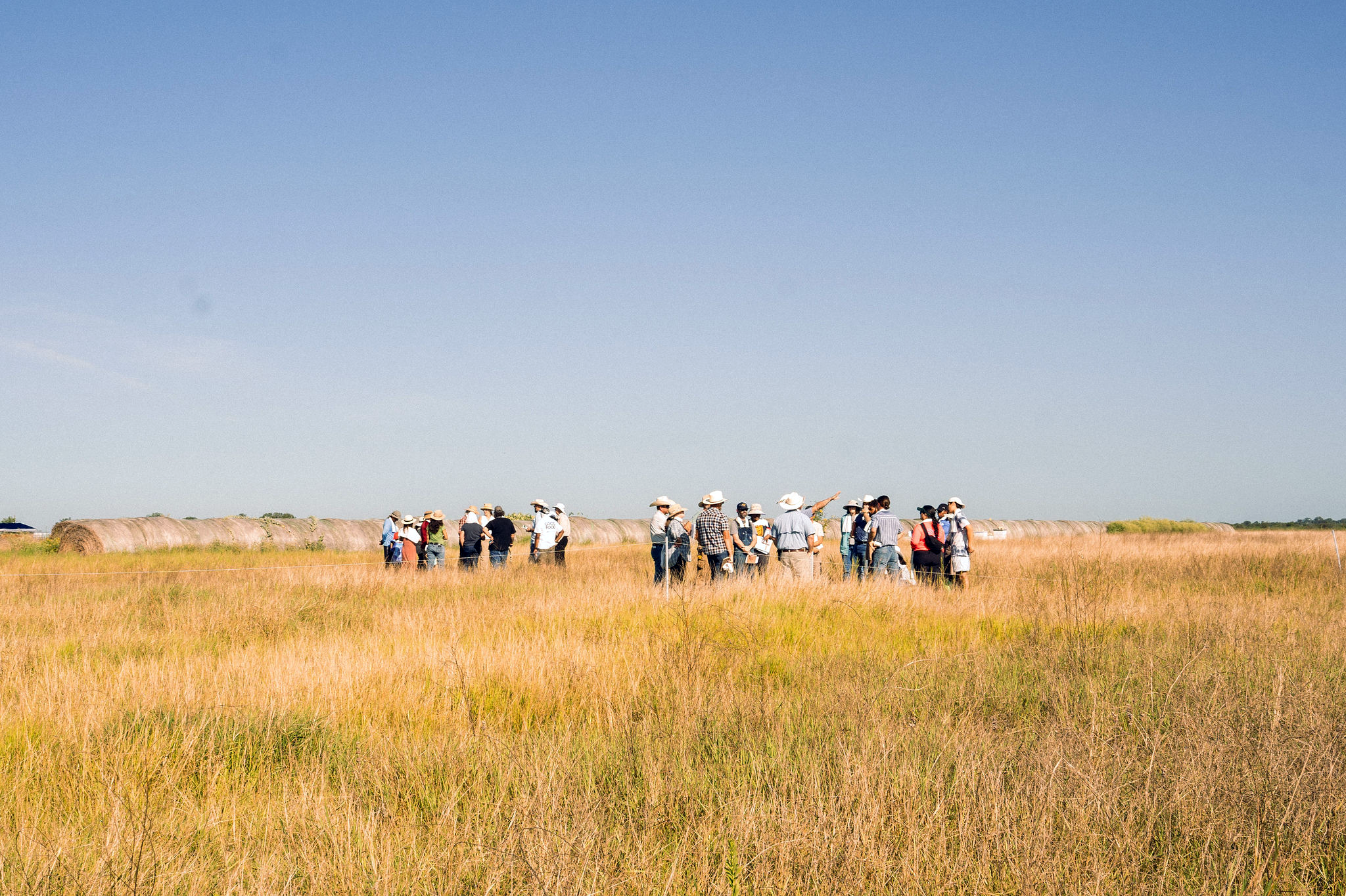 SKM RANCH - Fentress TX