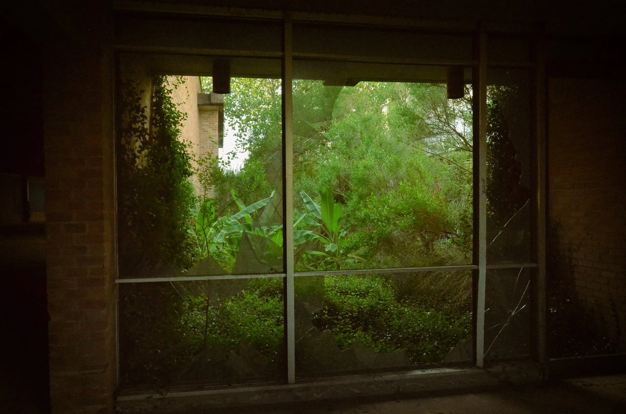 Broken window with cracks, looking out onto green foliage and trees outside.