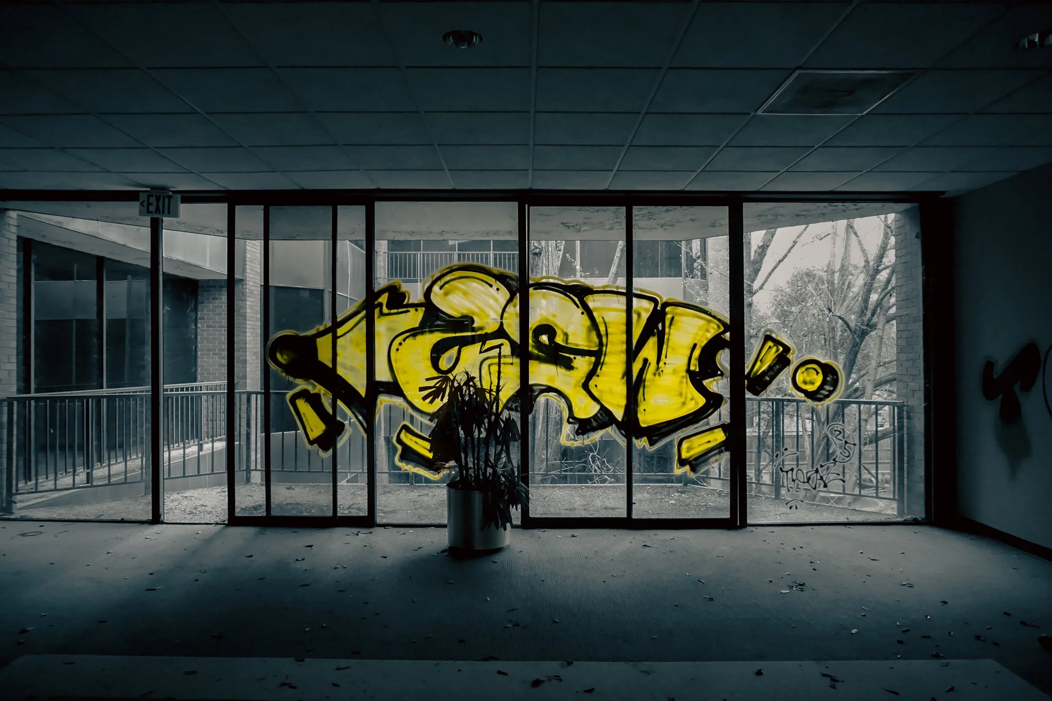 Interior view of a building with large glass doors featuring yellow graffiti art in black outlines, and a potted plant in front. Outside, trees and a railing are visible.