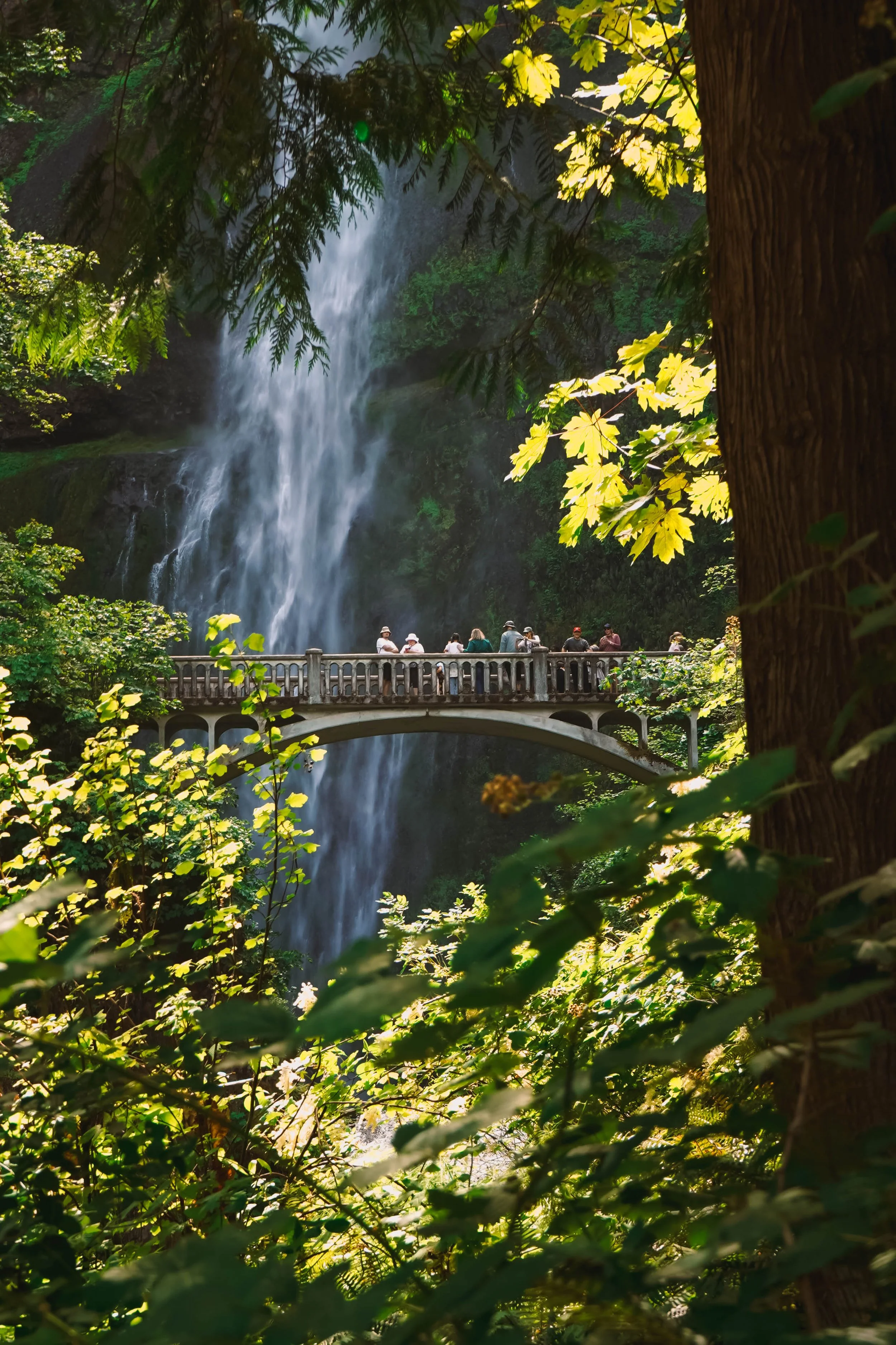 Oregon