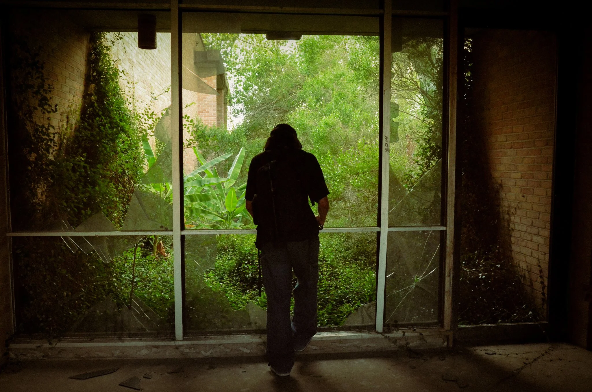Person standing inside an abandoned building, looking out through a broken glass window with multiple cracks, overlooking dense greenery outside.