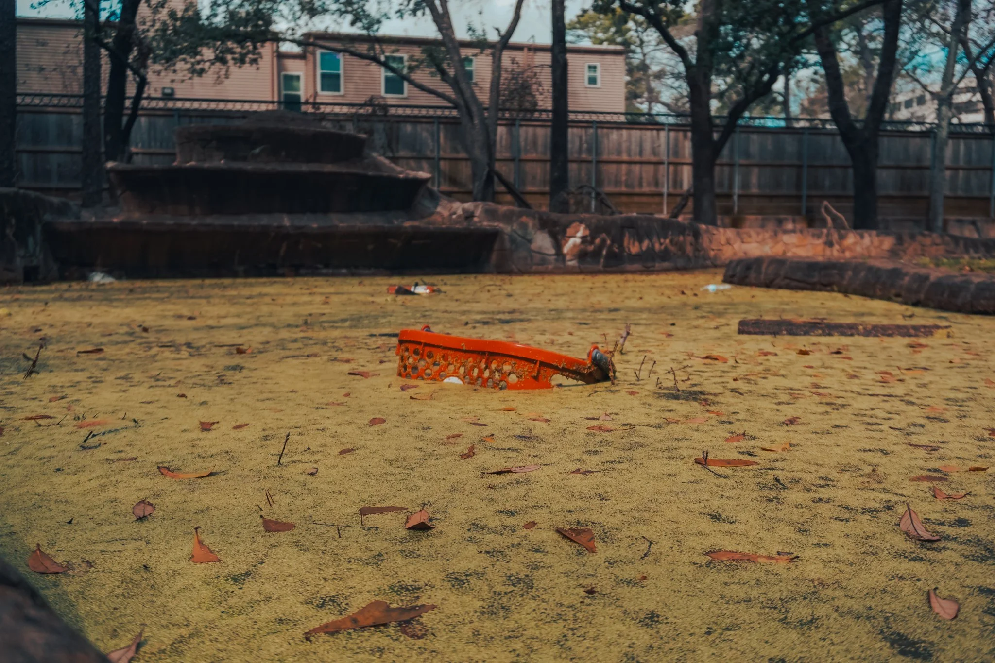 A pond covered with green algae or duckweed, with a partially submerged orange plastic basket or container, and surrounded by fallen leaves and debris, with trees and a fence in the background.