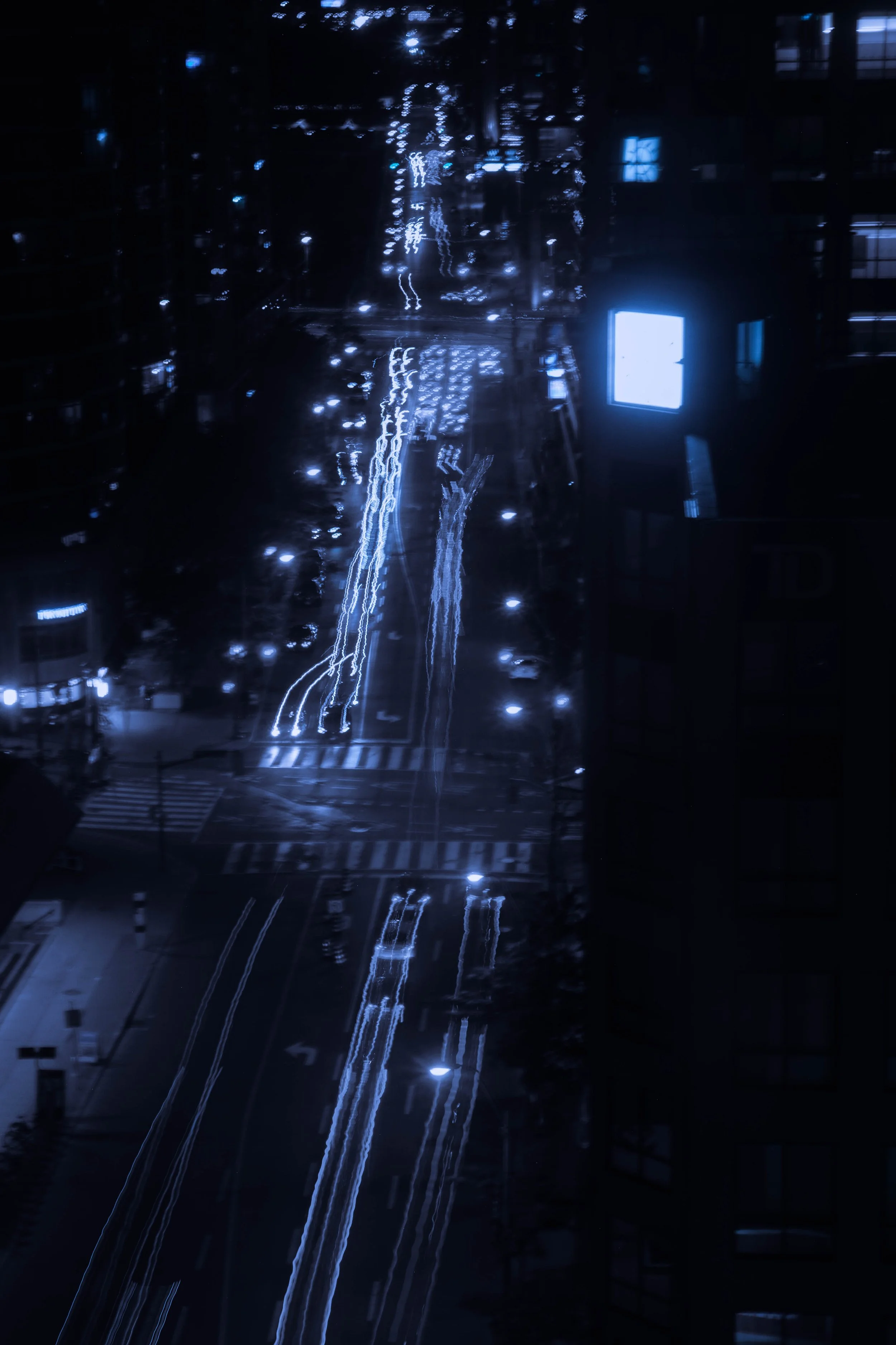 DSC05195.jpg