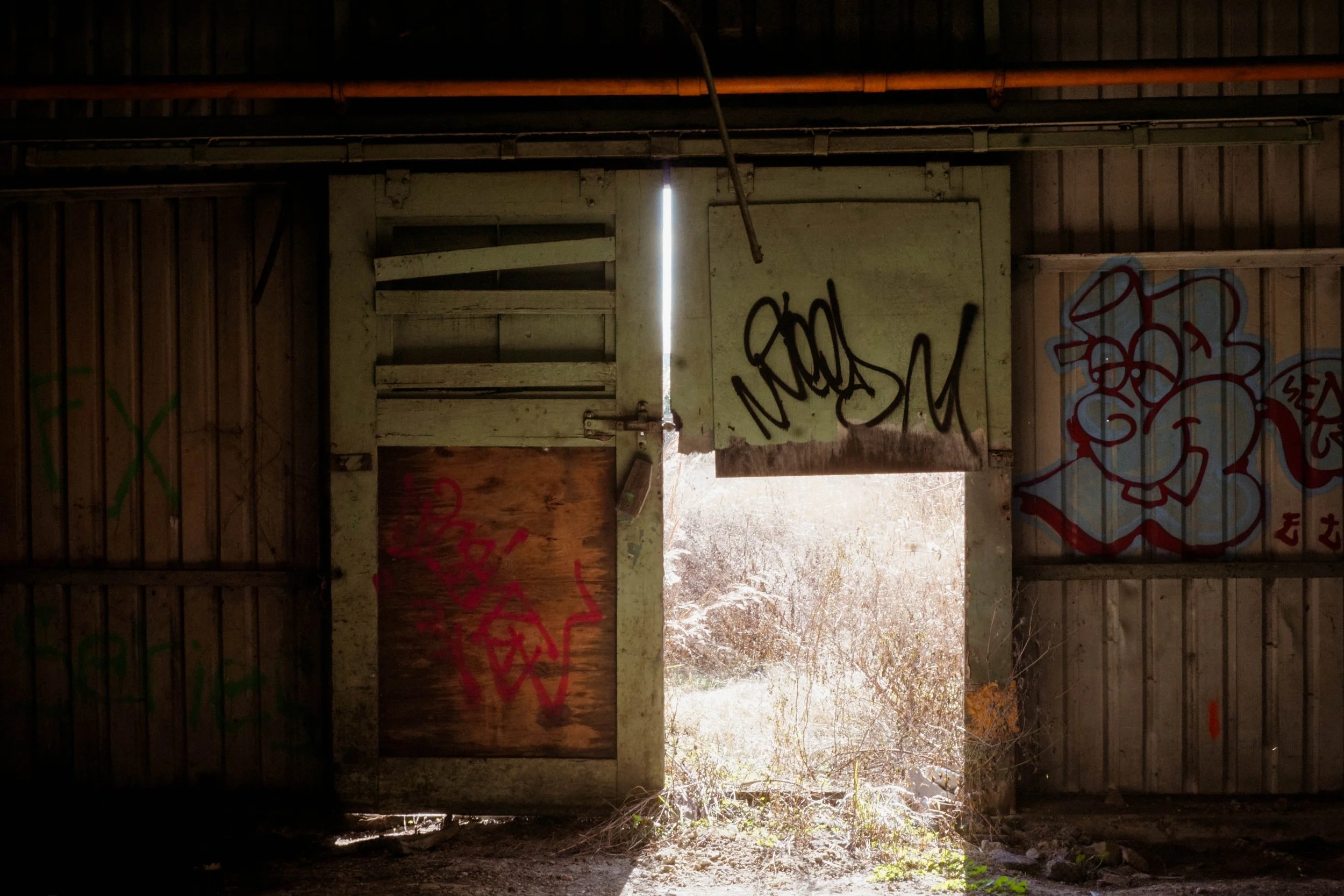 Open door of an abandoned, graffitied barn, with sunlight illuminating the overgrown outside scenery.