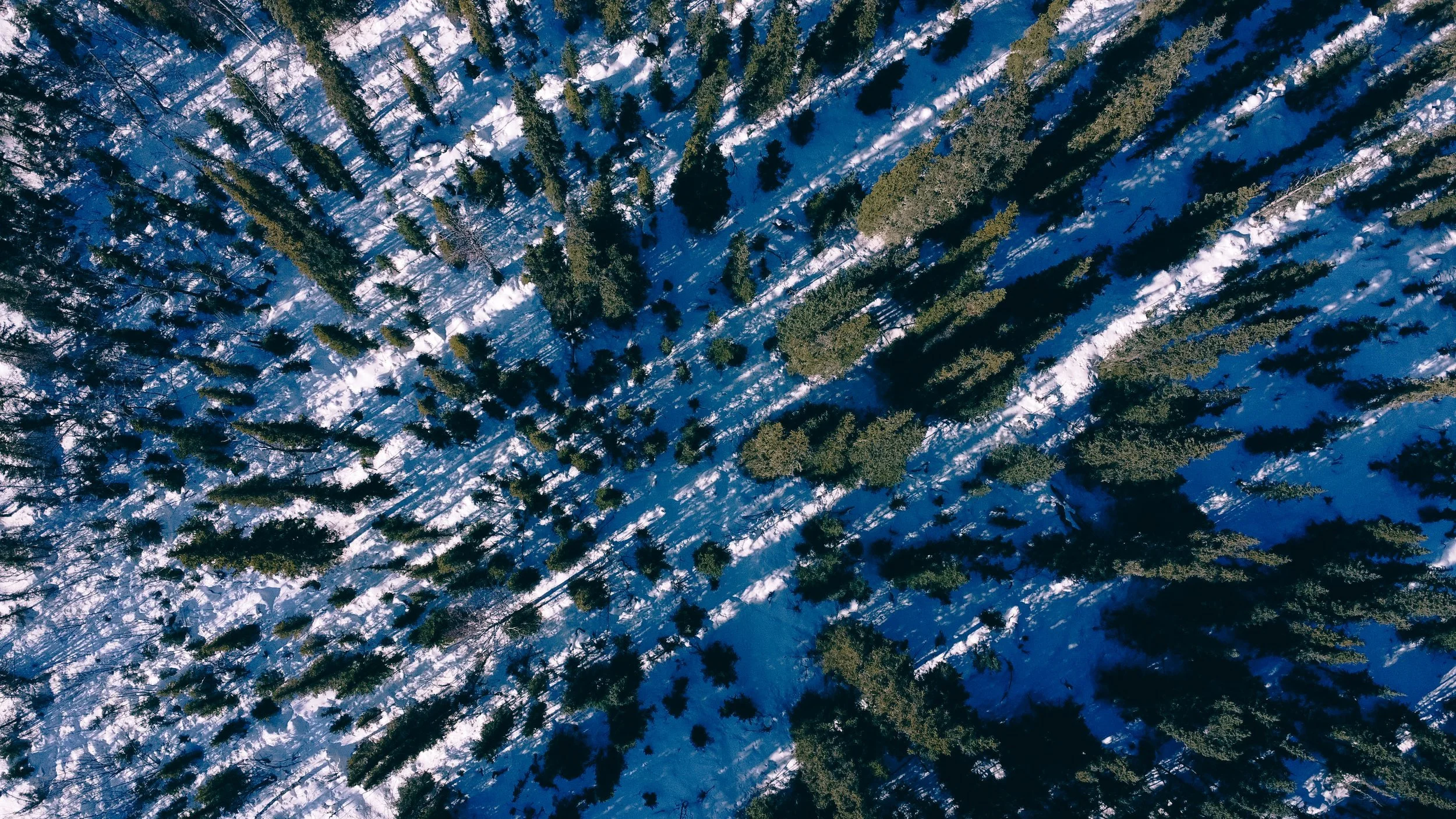 DJI_0821.jpg