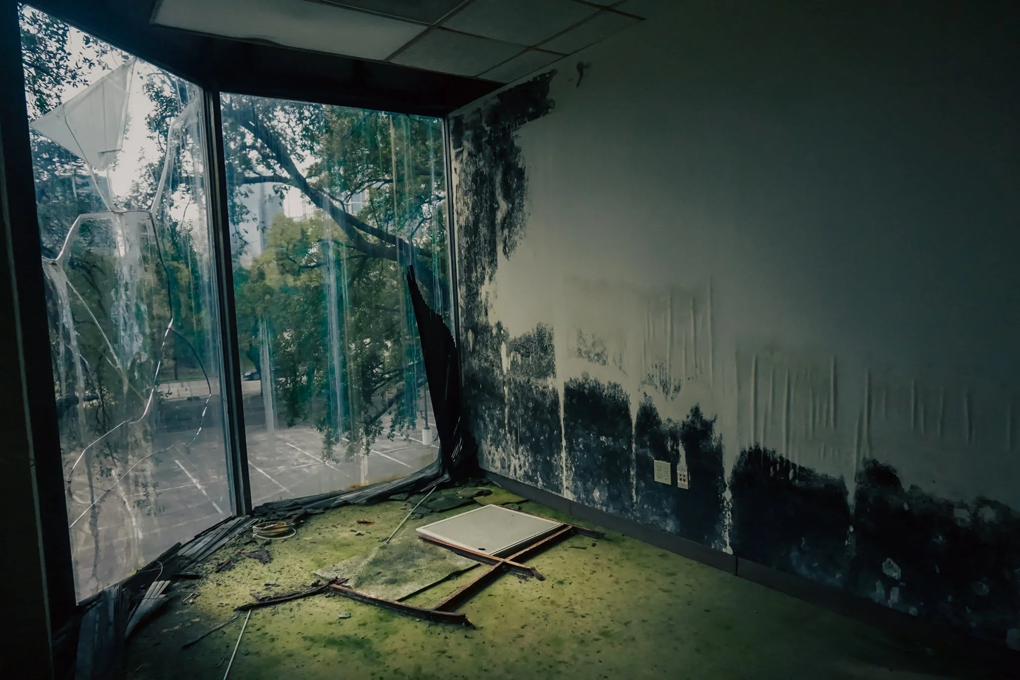 Damaged office room with broken glass window, peeling paint, and debris on green carpet, adjacent to parking lot visible through the window.