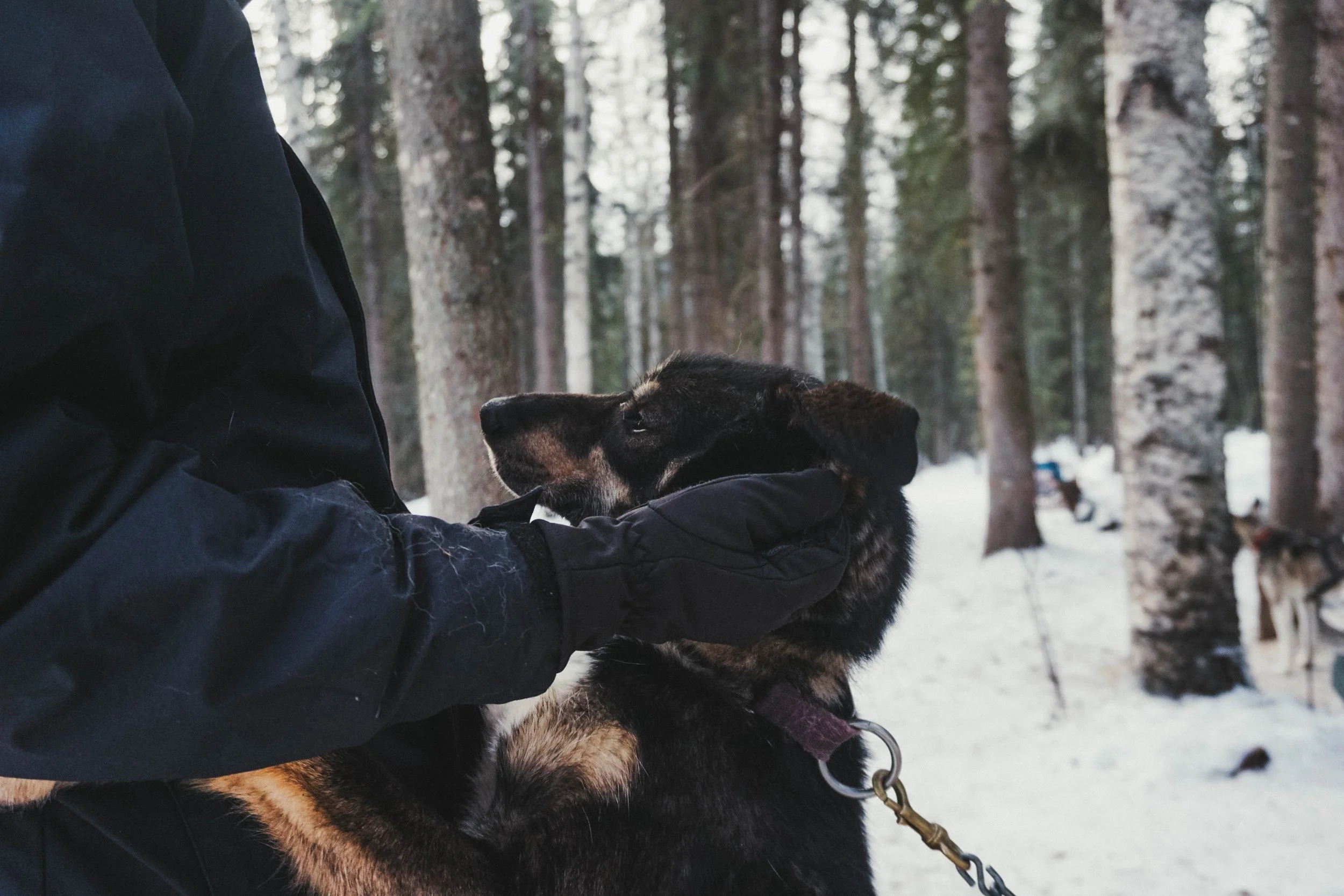 DSC03274.jpg