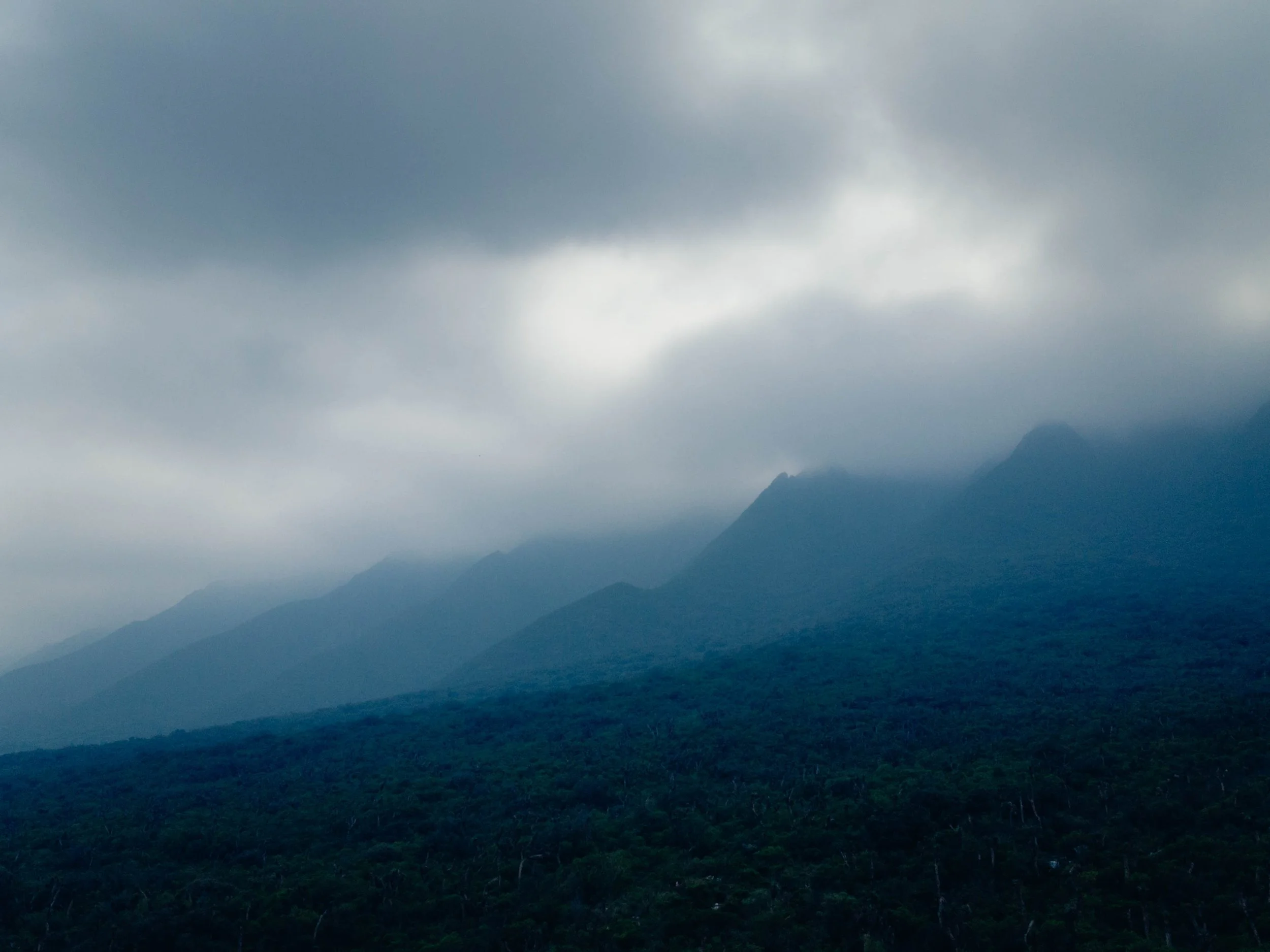DJI_0184.jpg