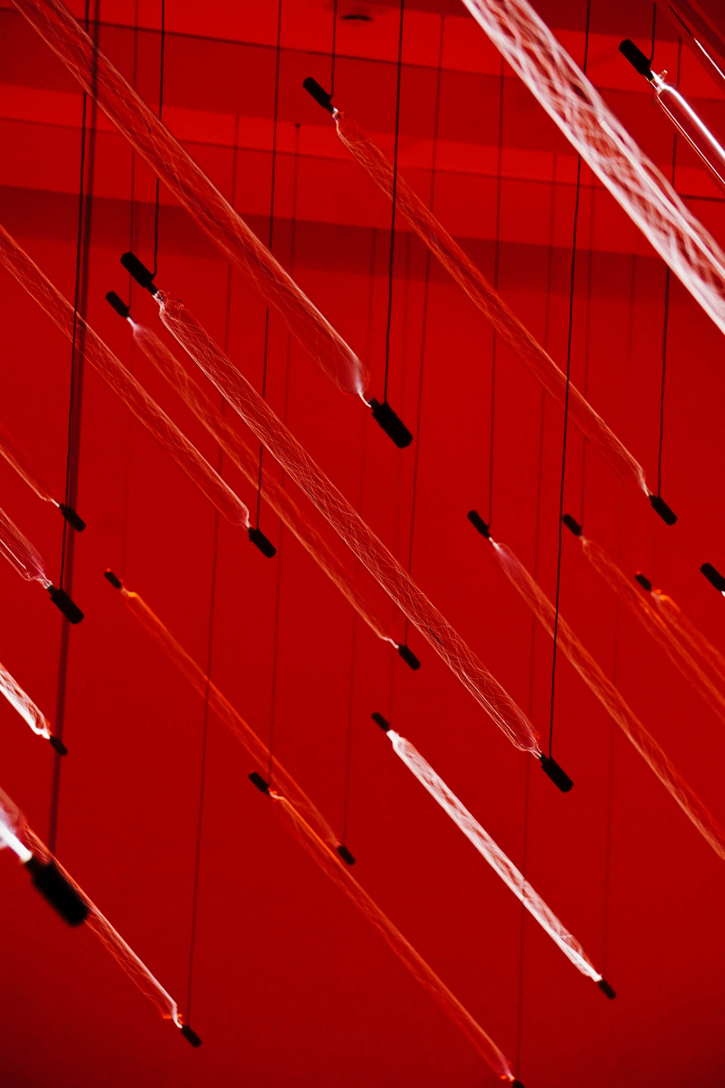 DSC07366.jpg