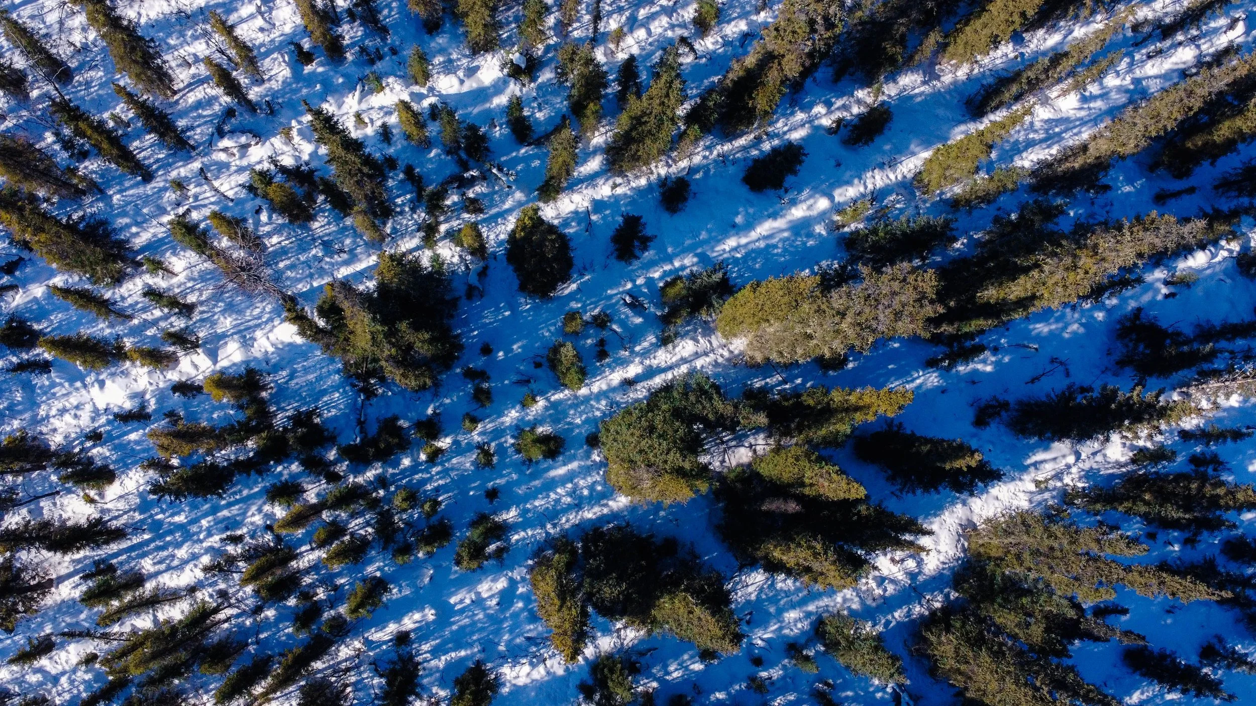 DJI_0824.jpg