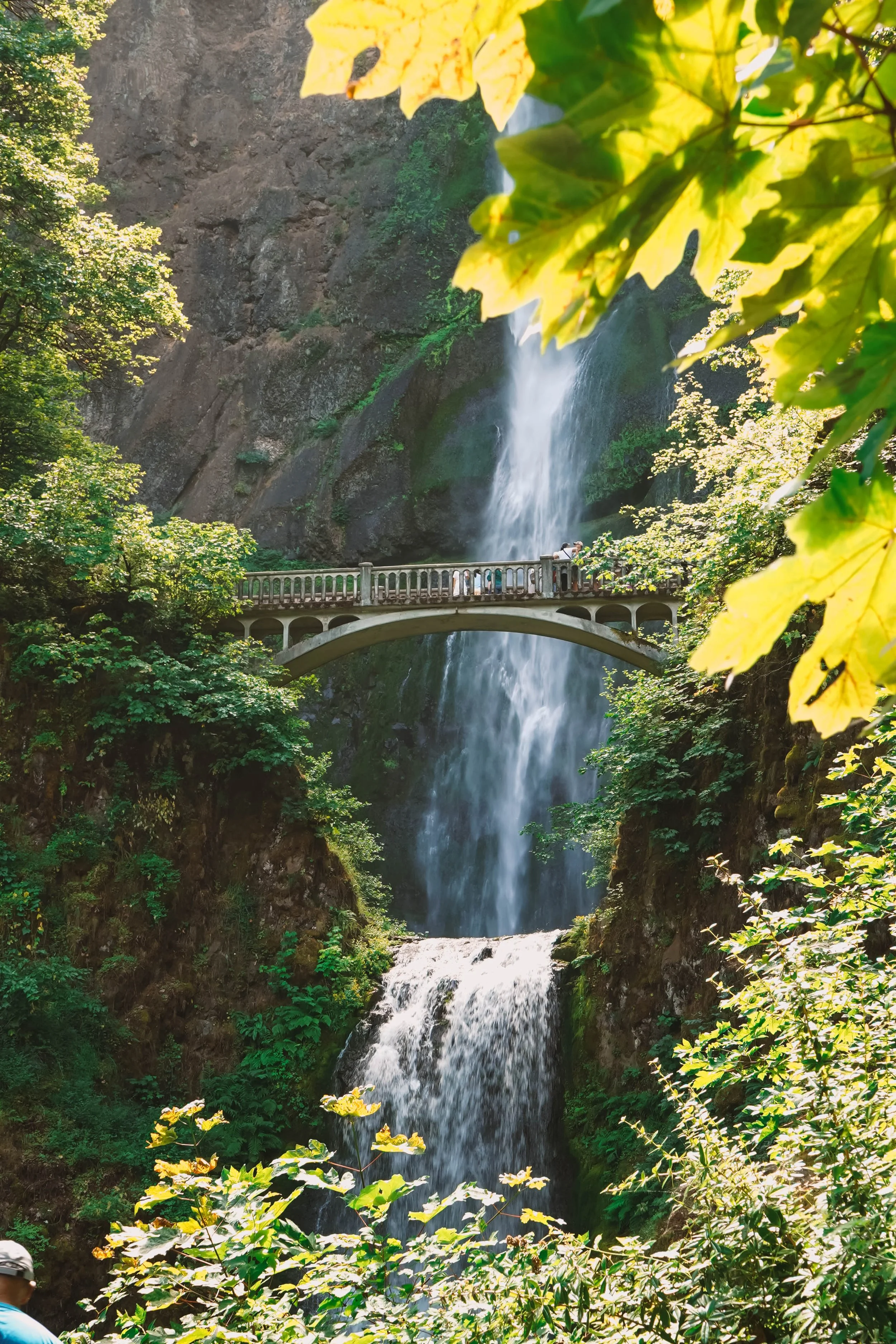 A waterfall flowing down a steep rocky cliff surrounded by lush green and yellow foliage. A pedestrian bridge crosses beneath the waterfall, with a few people standing on it, enjoying the scenic view in a forested area.