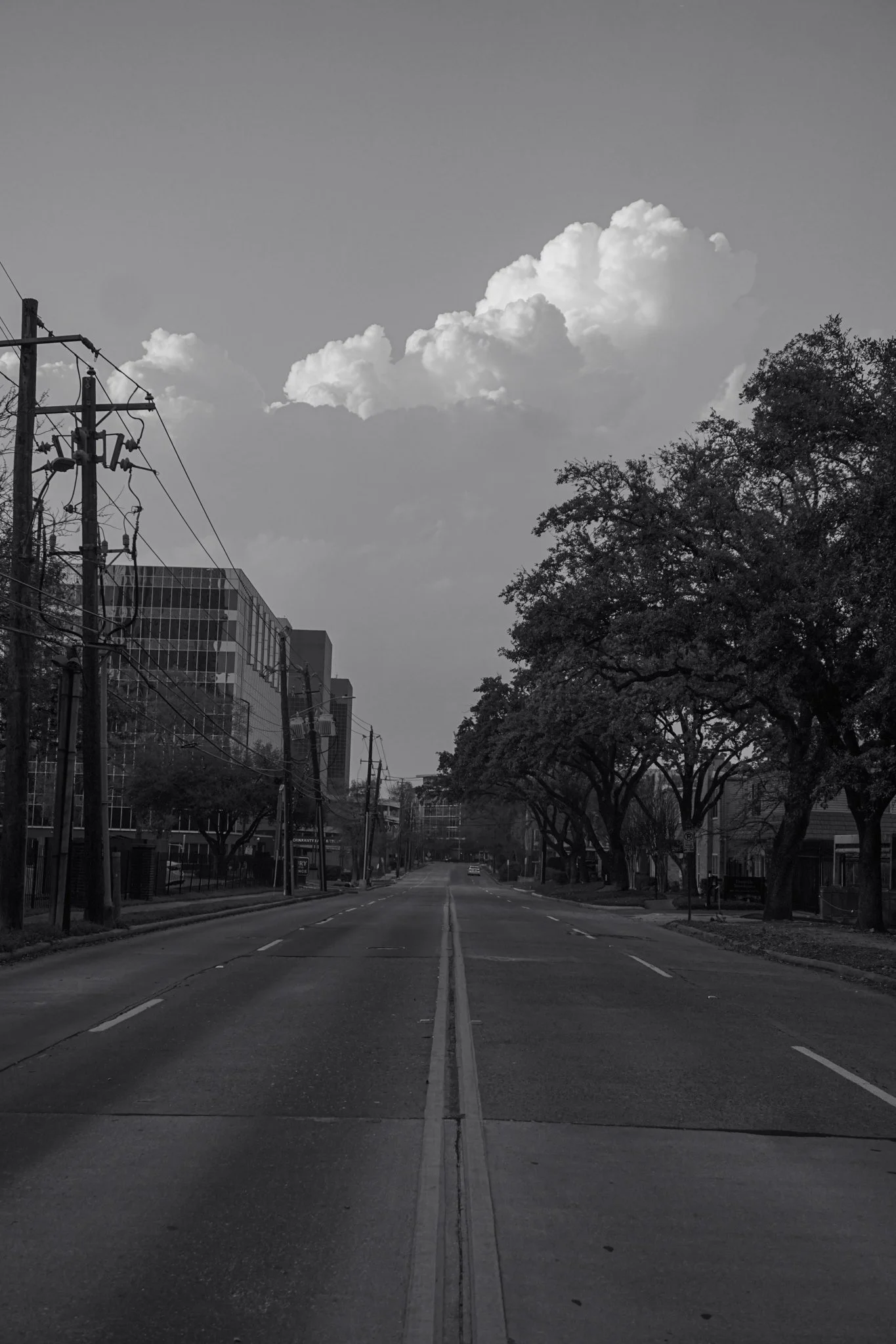 Empty city street with trees on both sides, overhead power lines, modern buildings on the left, and a large cloud in the sky.