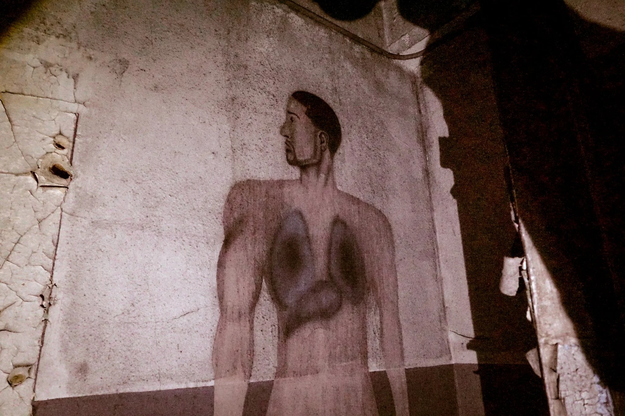A layered image showing a drawing of a man with internal organs, superimposed over an old, textured wall with cracks and holes.