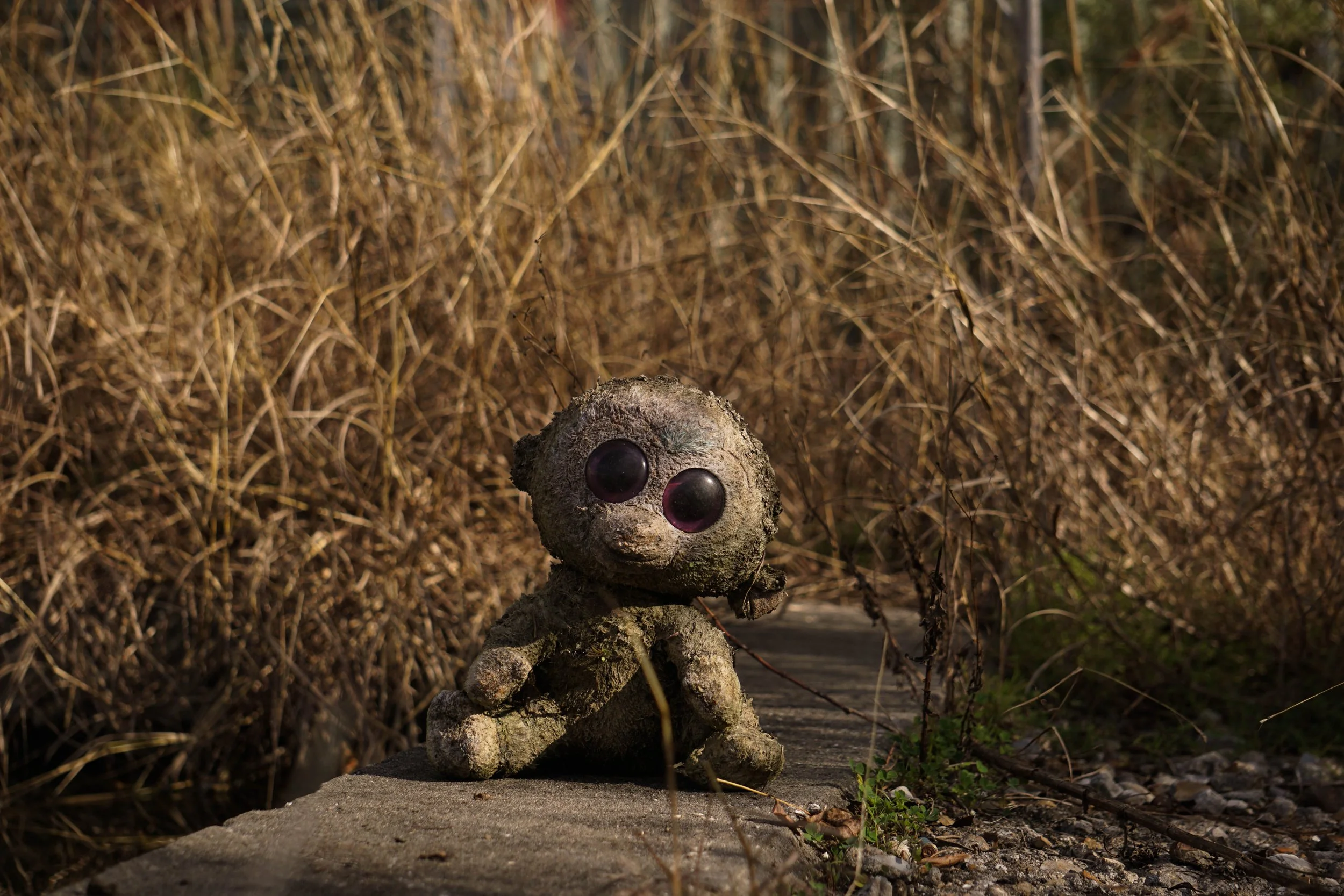 A small plush toy resembling a teddy bear with large black eyes, covered in dirt and moss, sitting outdoors on a concrete surface among dry grass and weeds.