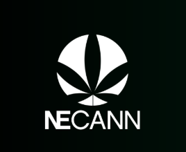 New York Cannabis & Hemp Convention