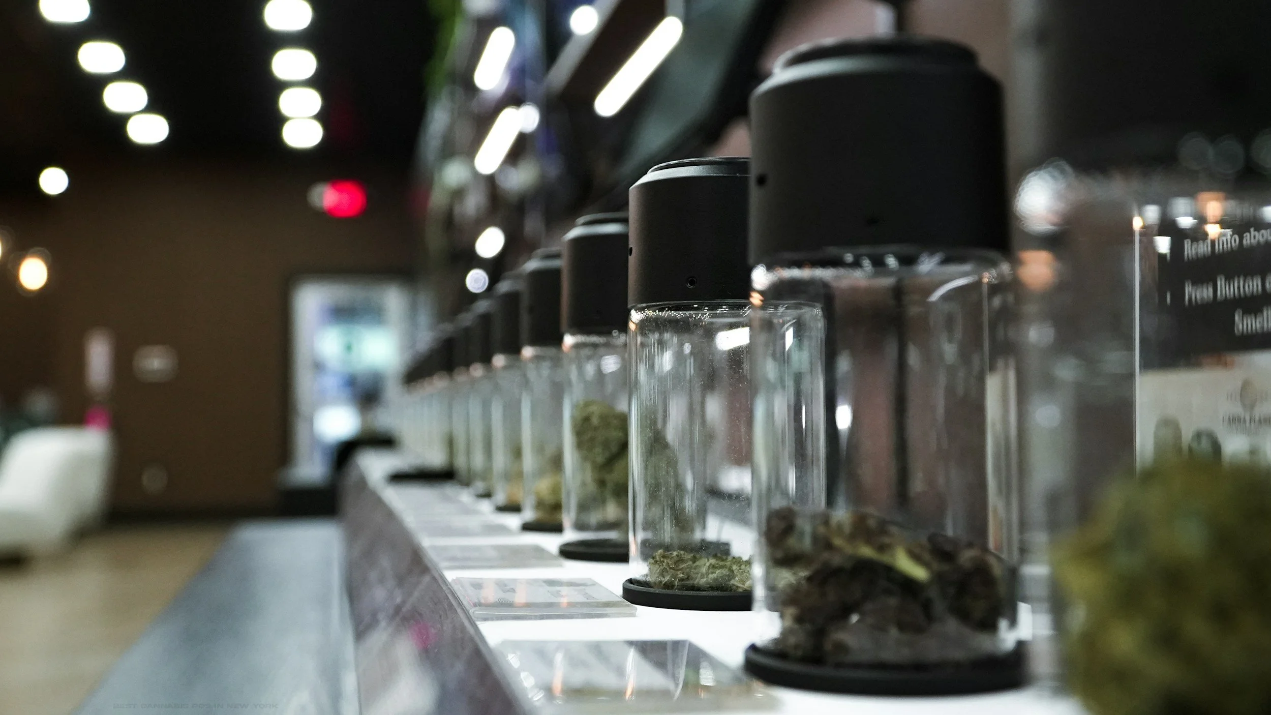 Dispensary Bookkeeping Done Right: Stay Compliant, Maximize Deductions, and Know Your Numbers