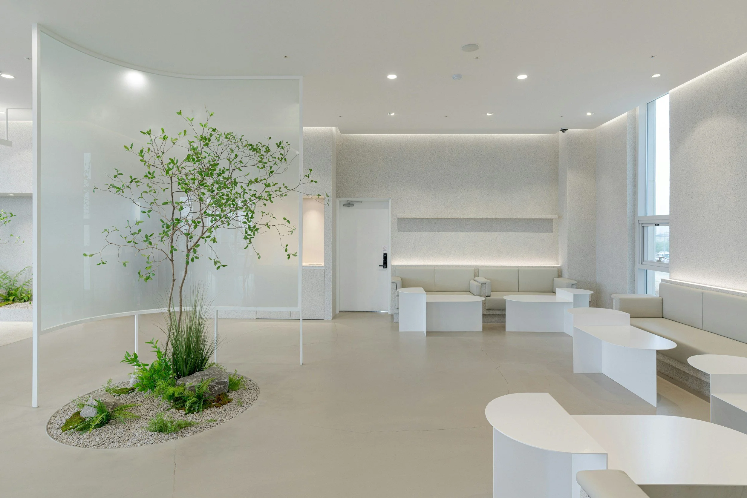 S-Corp for Longevity Clinic Owners: When It Saves Taxes (and When It Doesn’t)