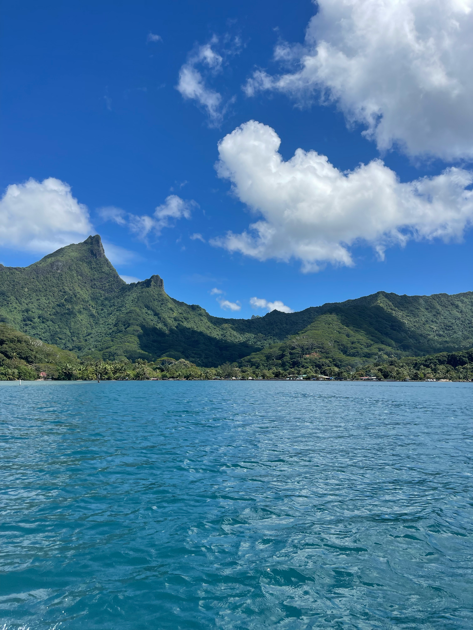 View of a scenic coastline with rich green hills, blue ocean water, and partly cloudy sky.