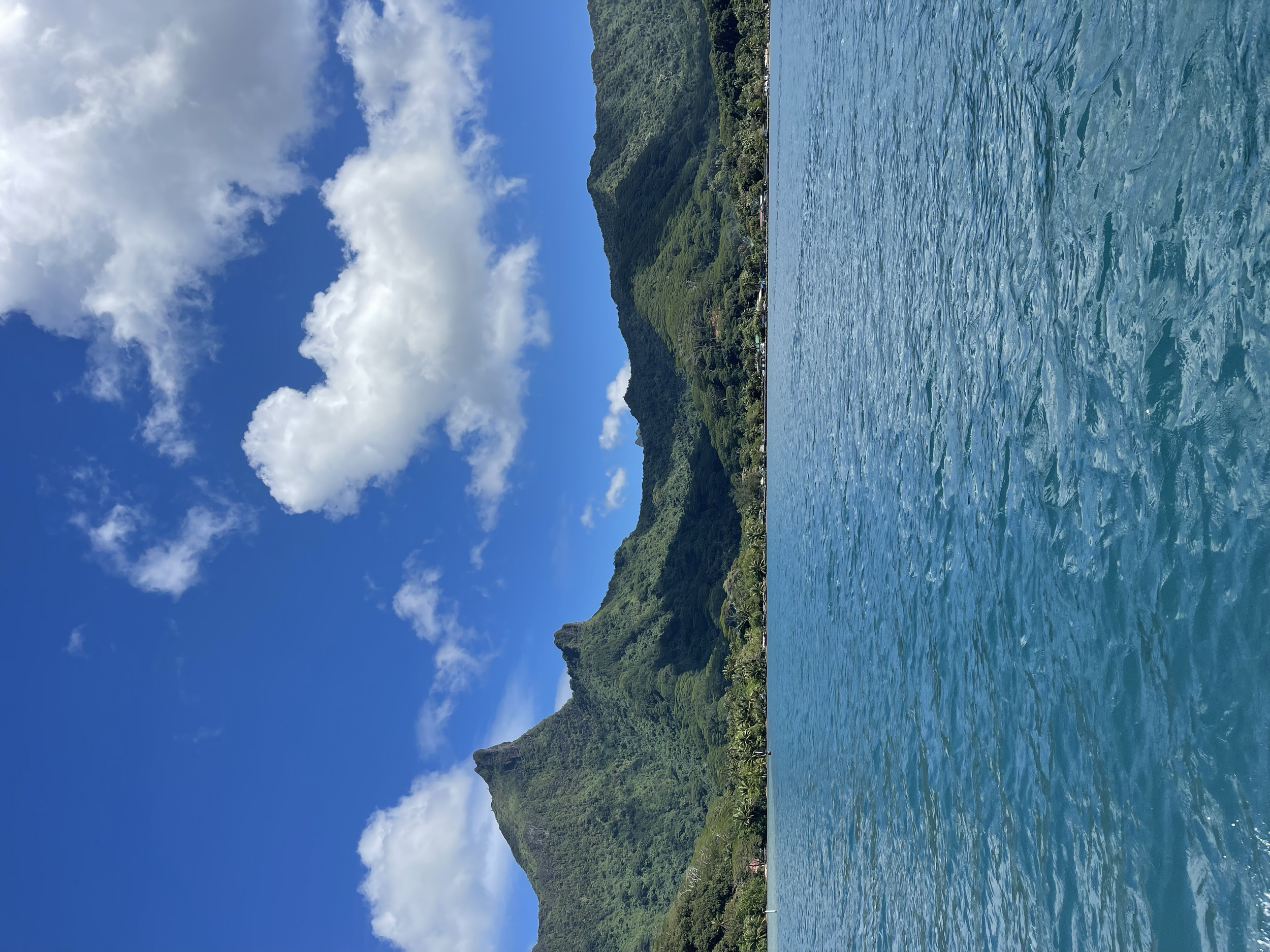 tempImagec4tey7.png