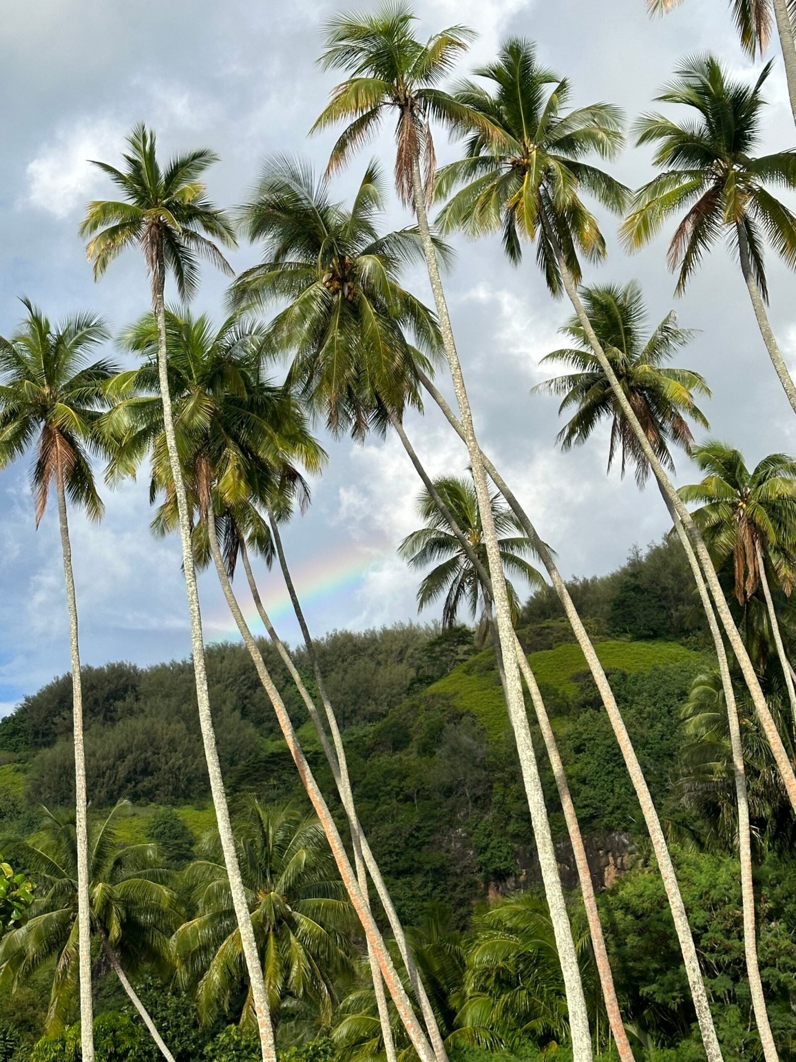 moorea1111.jpeg