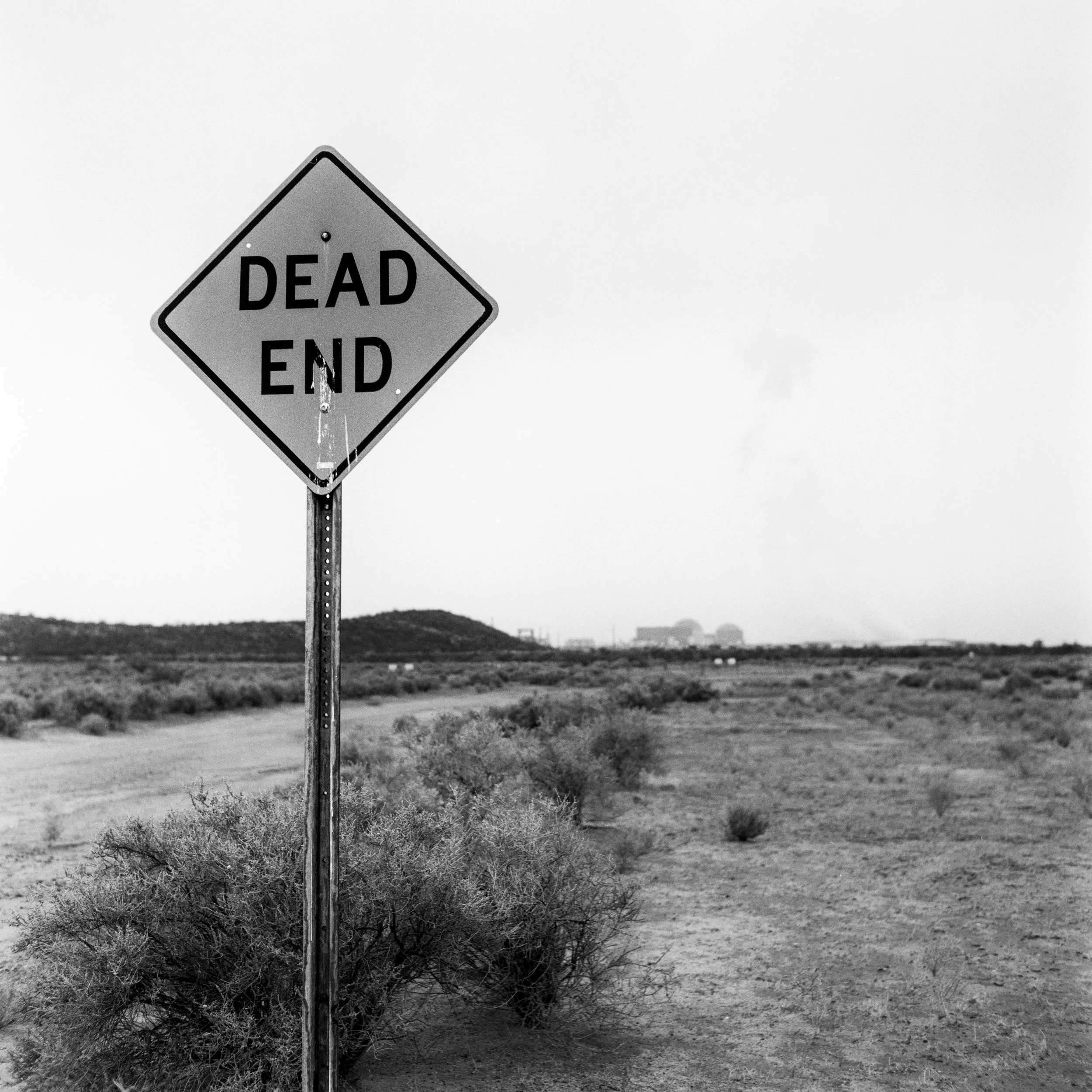 0C8A3705-Edit-2.jpg