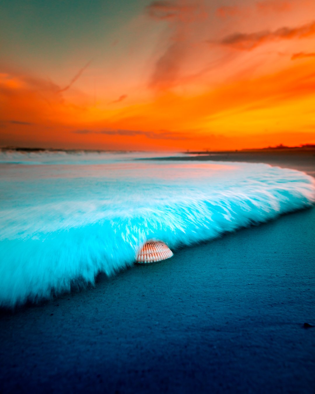 A beach scene at sunset with vibrant orange and pink sky, ocean waves washing onto the sand, and a glowing blue bioluminescent wave with a seashell on the shore.