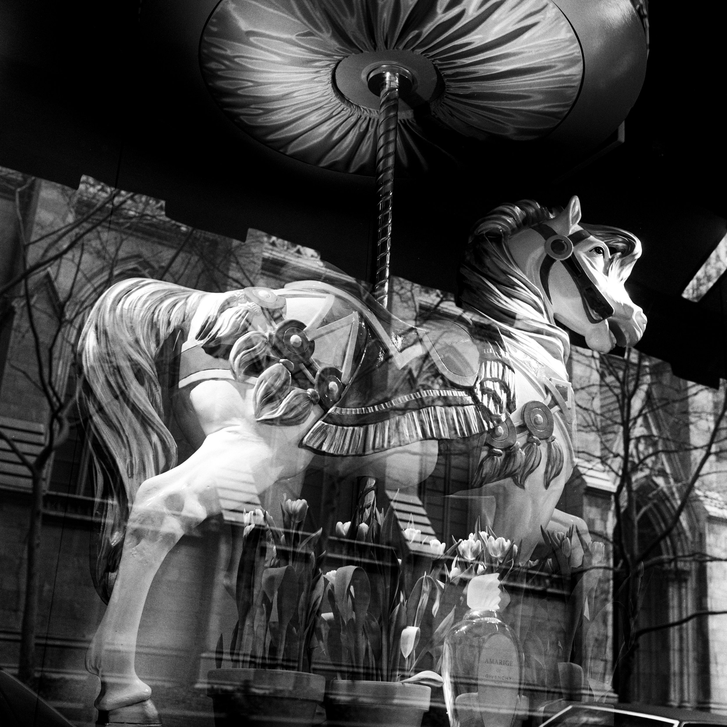 0C8A3750-Edit-2.jpg
