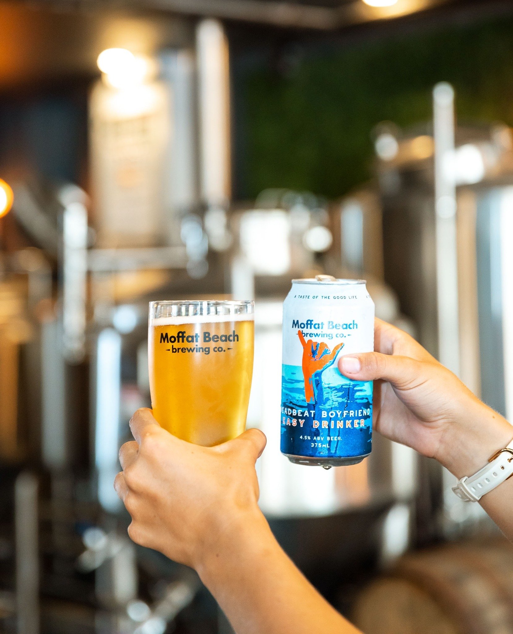 Moffat Beach Brewing.jpg