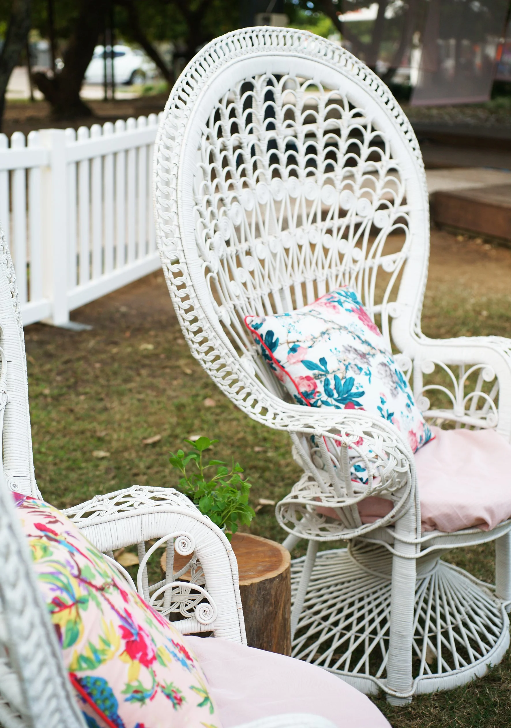 Cushions - Floral (Assorted)