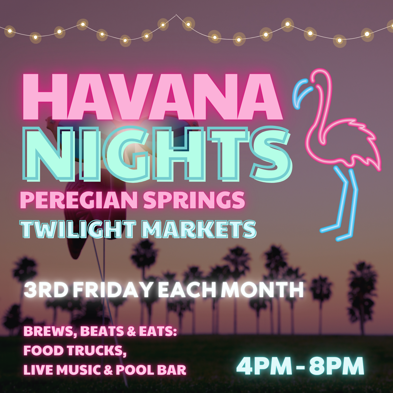 Havana Nights Markets
