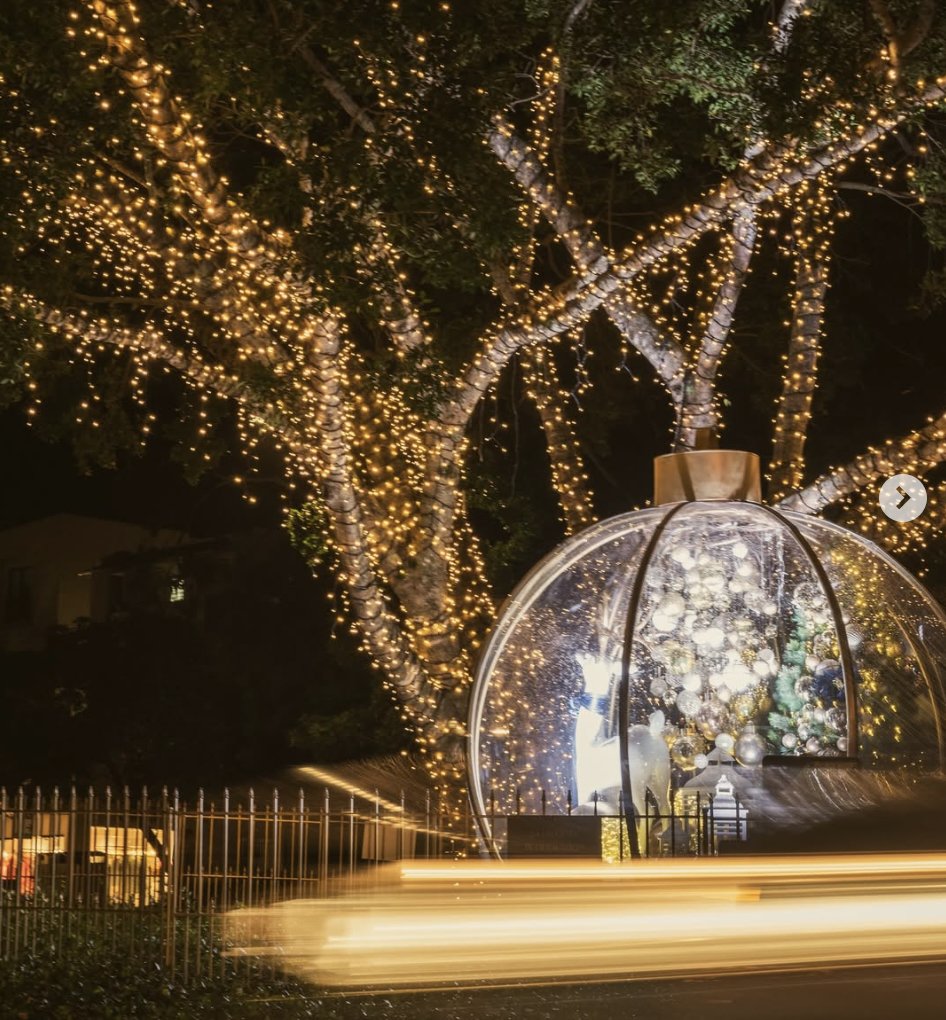 Xmas Dome.jpg